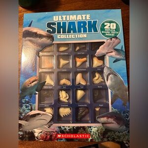 Scholastic Shark Collection with Blue and White Display